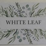 White Leaf 🍃
