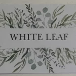 White Leaf 🍃